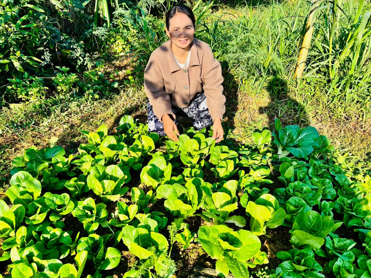 ผู้นำต้องทำก่อน” พัฒนากร ปลูกผักสวนครัว สร้างความมั่นคงทางอาหาร